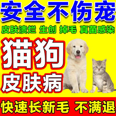 猫狗宠物皮肤病专用药治猫疗狗藓皮屑真菌感染皮炎瘙痒掉毛内服药