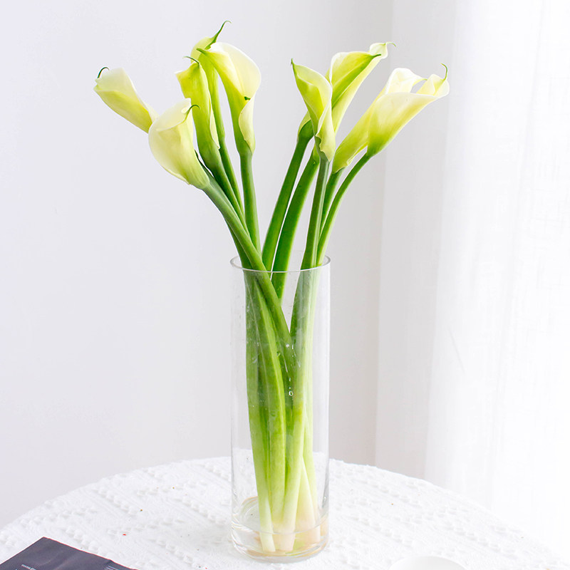 白色马蹄莲鲜花家用水养鲜切花办公室室内瓶插花云南基地直发,鲜花速递/花卉仿真/绿植园艺,花材,淘宝优惠券,粉丝福利购,淘宝优惠卷