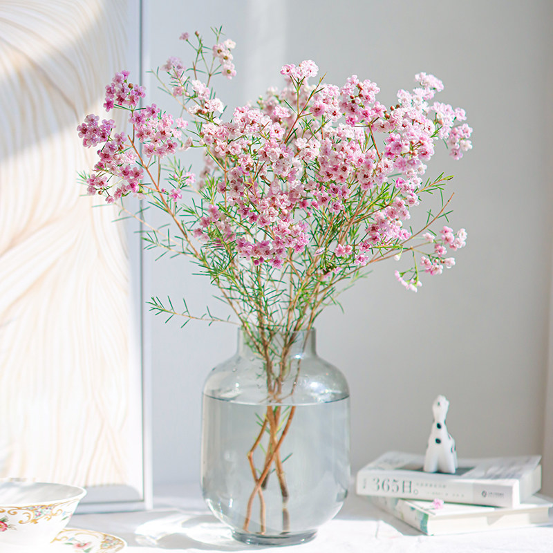 澳梅腊梅鲜花水养鲜切花客厅水培植物粉色重瓣腊梅云南基地直发,鲜花速递/花卉仿真/绿植园艺,花材,淘宝优惠券,粉丝福利购,淘宝优惠卷