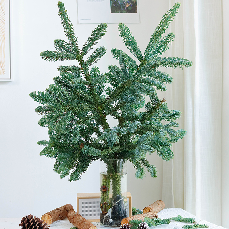 诺贝松松枝圣诞树制作材料圣诞节