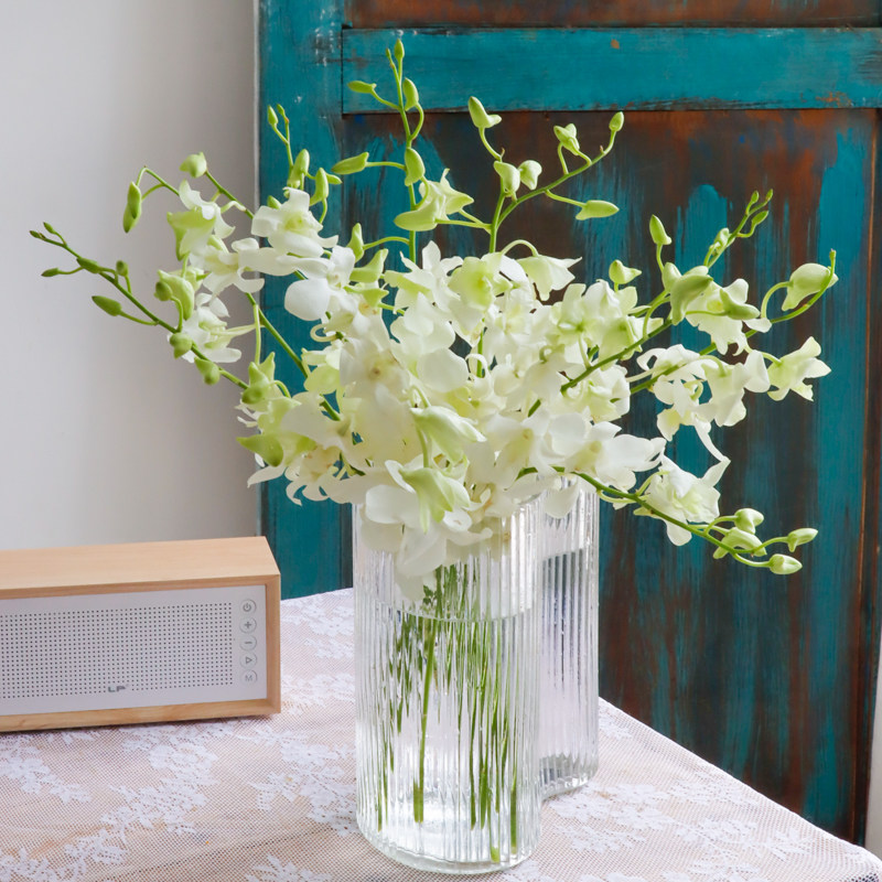 洋兰白色鲜花千代兰万代兰客厅插花云南基地直发鲜切花水培花束