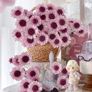 稀有小雏菊鲜花云南基地直发大红帽小菊鲜切花客厅花束花期长插花