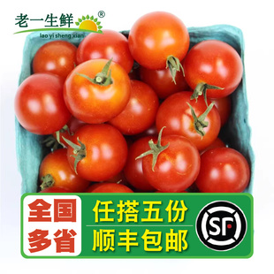 小红番茄小番茄 老一生鲜 去枝蒂串番茄500g 品种为大 串红