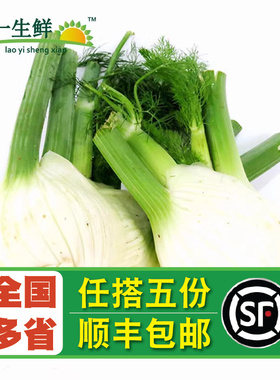 【老一生鲜】新鲜茴香头约500克茴香根西餐配菜 新鲜香料茴香菜