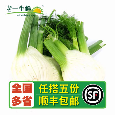 【老一生鲜】西餐配菜新鲜茴香菜