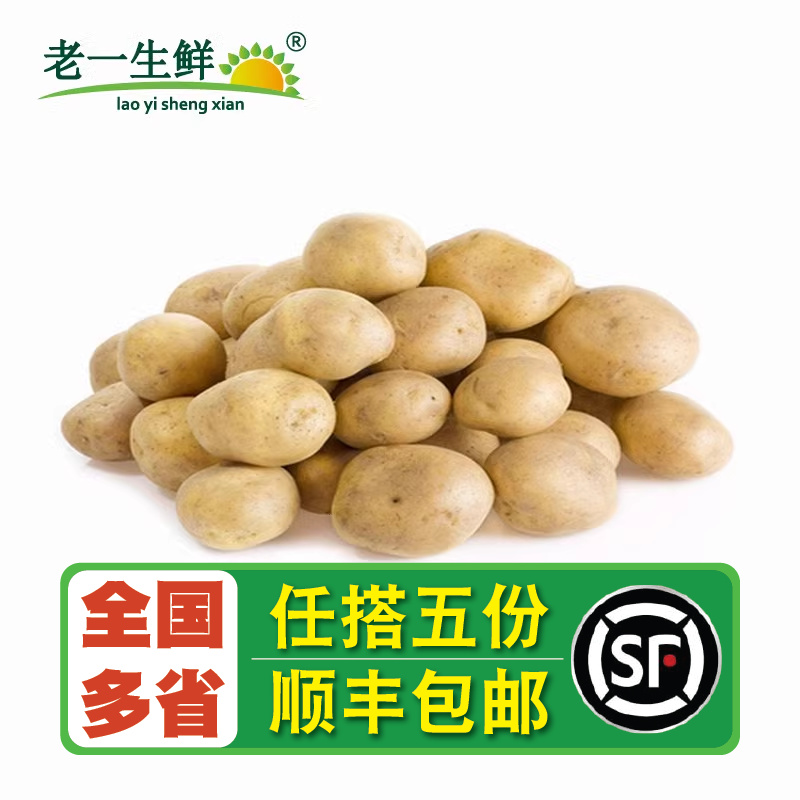 【老一生鲜】 新鲜迷你小土豆  500g 水产肉类/新鲜蔬果/熟食 土豆 原图主图