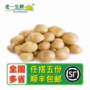 500g 老一生鲜 新鲜迷你小土豆 软