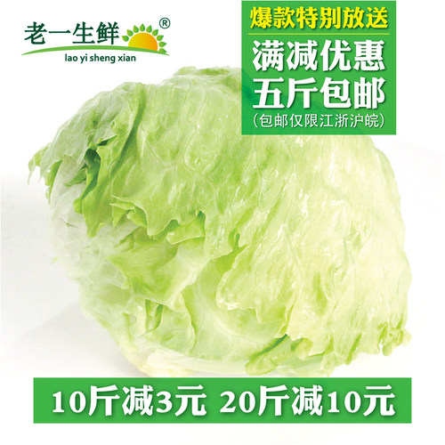 【老一生鲜】新鲜500g蔬菜球生菜
