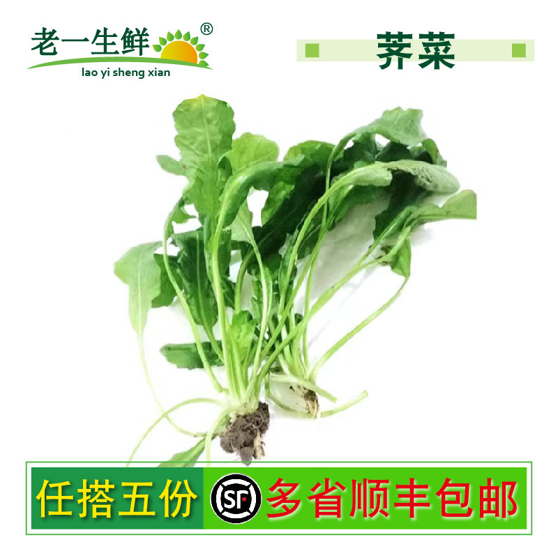 【老一生鲜】 蔬菜新鲜荠菜 荠荠菜 有水湿的