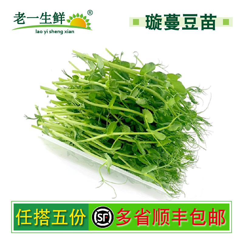 新鲜璇蔓豆苗1盒豌豆苗芽苗菜约50g酒店西餐摆盘装饰日料点缀