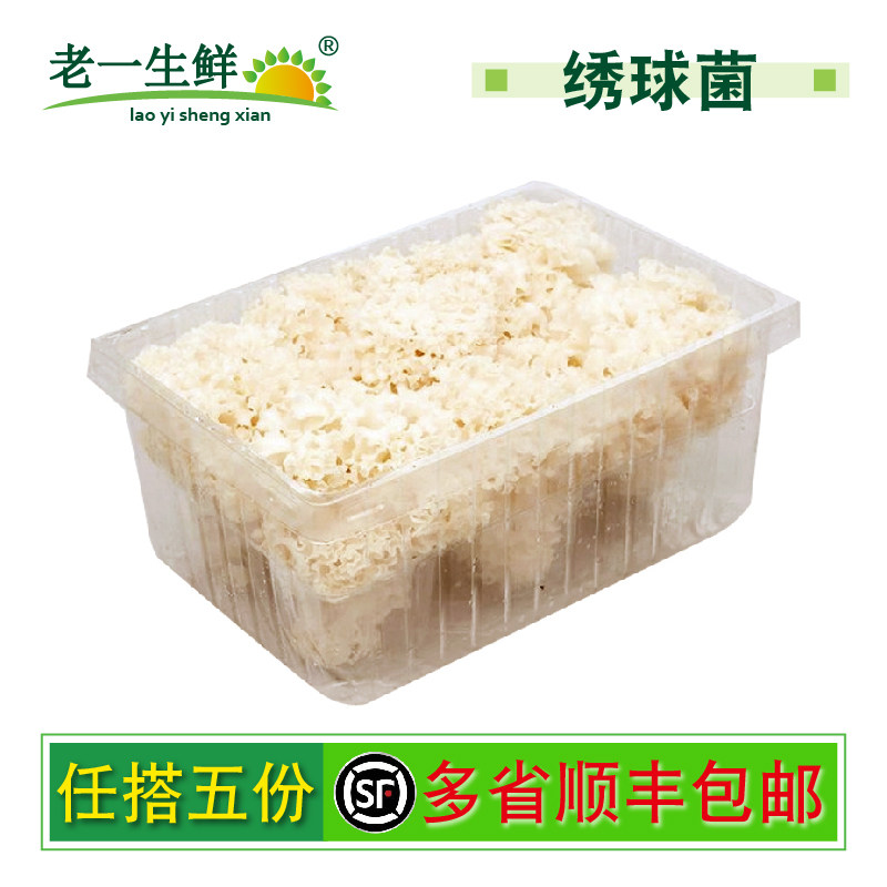 【老一生鲜】绣球菌新鲜1kg/盒绣球菌菇鲜绣球菇火锅食材新鲜菌菇