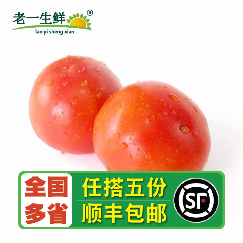 【老一生鲜】新鲜蔬菜西红柿500g