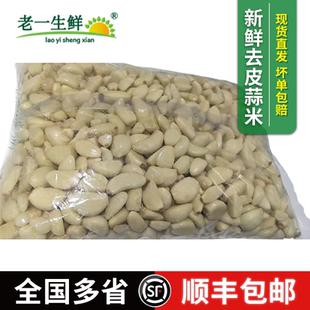 老一生鲜商用餐饮装 5斤1包 新鲜去皮蒜子蒜米蒜味大蒜子