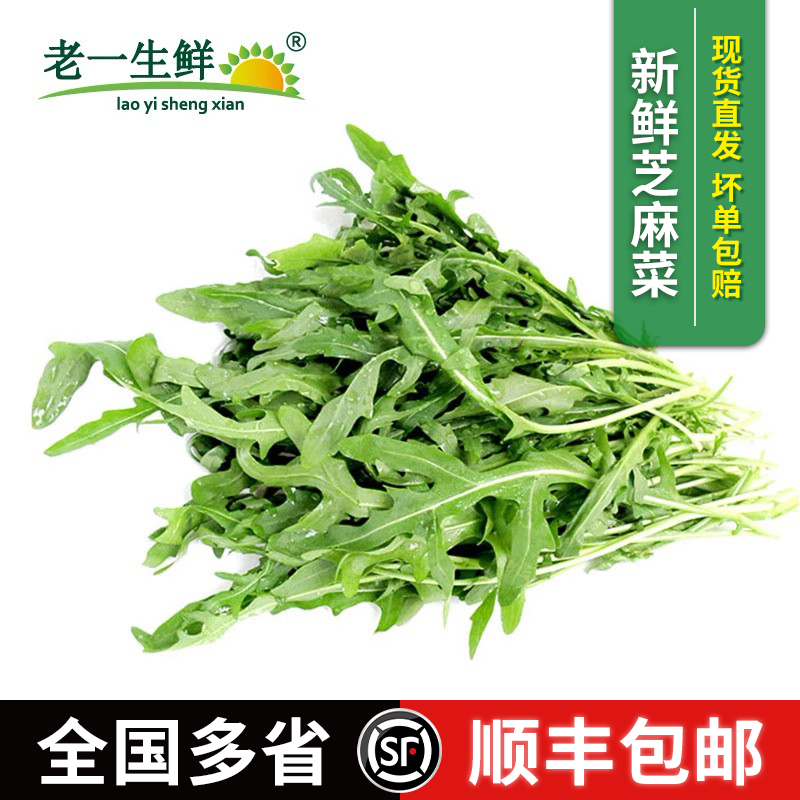 【老一生鲜】新鲜芝麻菜 沙拉蔬菜食材即食健身轻食西餐食用