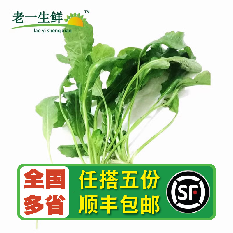 蔬菜荠菜荠荠菜新鲜老一生鲜