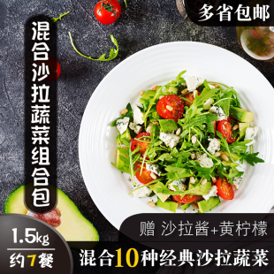 新鲜混合沙拉蔬菜轻食生菜组合代餐组合蔬菜包3斤 健身餐 包邮