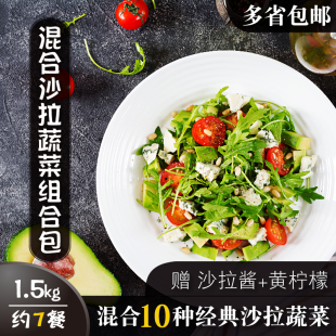 健身餐 新鲜混合沙拉蔬菜轻食生菜组合代餐组合蔬菜包3斤10种 包邮