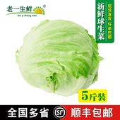 圆生菜沙拉菜西生菜沙拉结球生菜 新鲜球生菜 老一生鲜