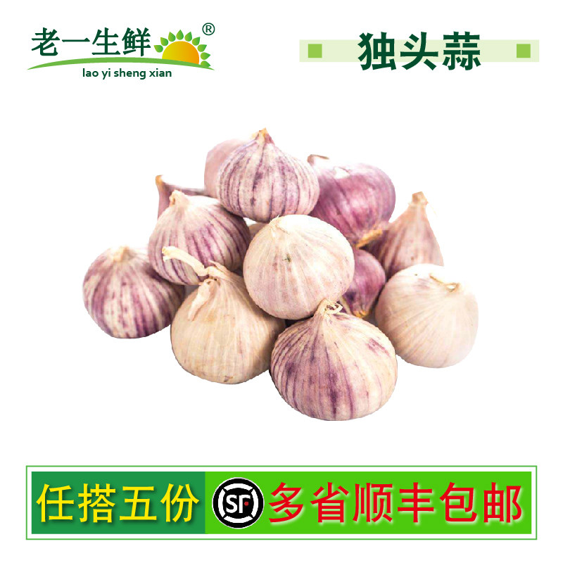 【老一生鲜】新鲜四川紫皮蒜头 独头蒜 紫大蒜 500g1500g2500g