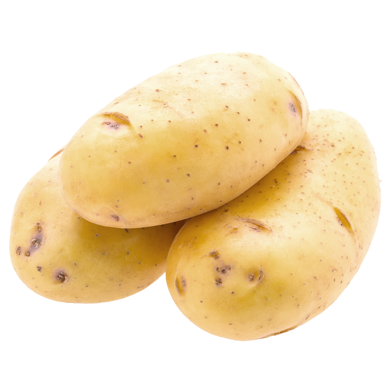 【老一生鲜】新鲜蔬菜500g马铃薯