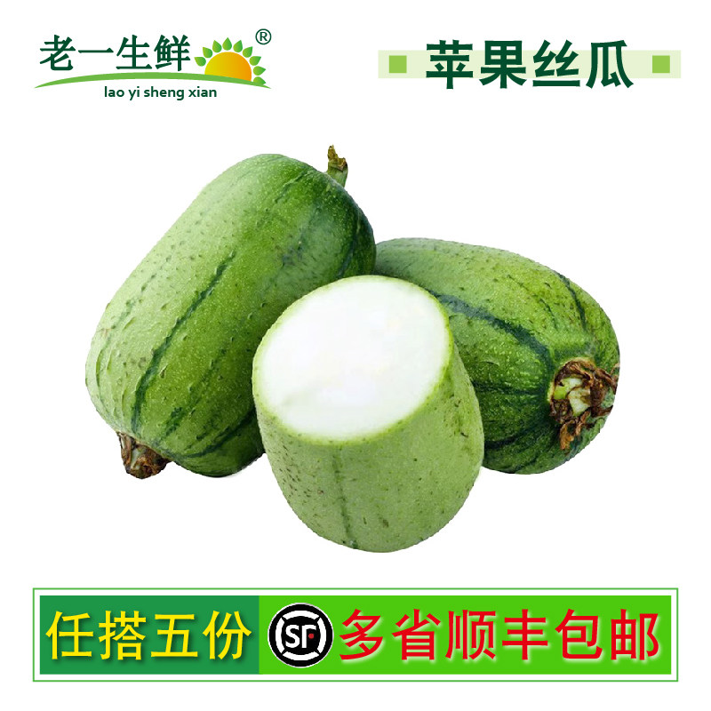 新鲜苹果丝瓜1000g圆胖肉丝瓜甜脆滑嫩 新鲜蔬菜
