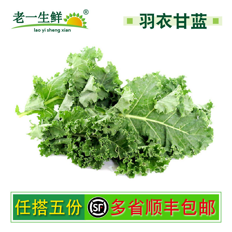 新鲜羽衣甘蓝 叶杜丹绿叶花包菜Kale
