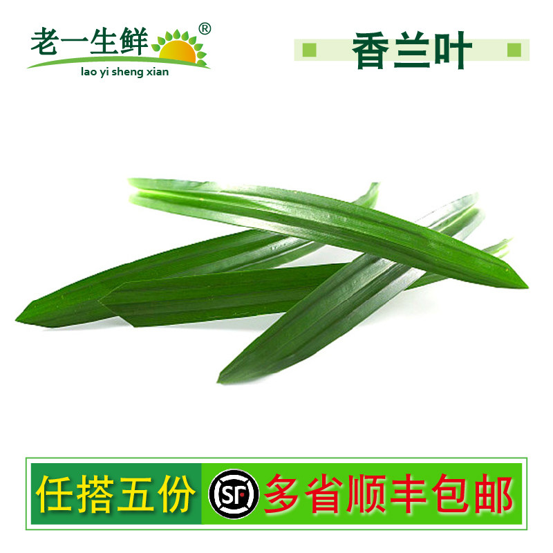 【老一生鲜】香兰叶新鲜食用斑斓叶 香兰叶香料甲抛叶 500g