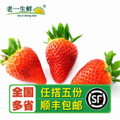 摆盘装 新鲜草莓300g左右盒装 饰 四季 20粒 酸草莓15 老一生鲜