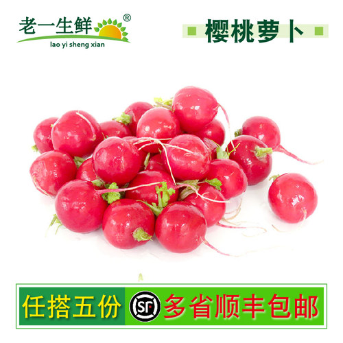 【老一生鲜】新鲜樱桃萝卜 500g  迷你小萝卜小红萝卜小红圆萝卜