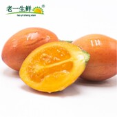 新鲜蔬菜洋番茄洋酸茄果傣味 老一生鲜 云南树番茄 500克