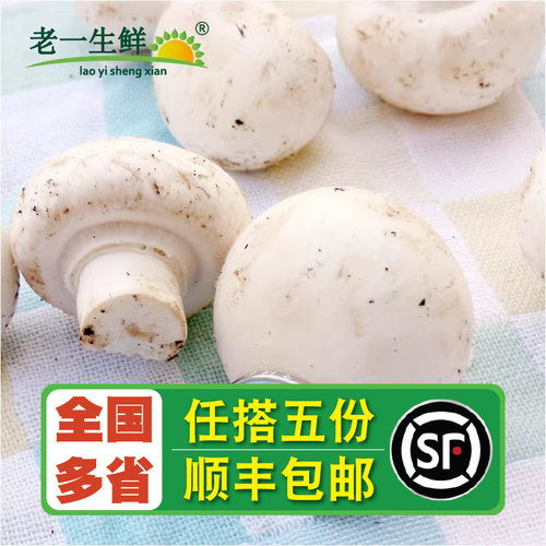 【老一生鲜】口蘑新鲜食用菌400g