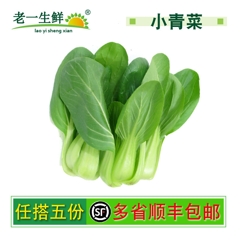 【老一生鲜】 新鲜蔬菜新鲜青菜 小青菜 蔬菜品种随机发货 500g