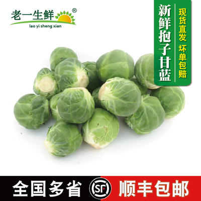 新鲜孢子甘蓝抱子甘蓝小包菜
