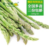 老一生鲜 500g 芦笋 新鲜芦笋 切光白根 多省三件顺丰 包邮