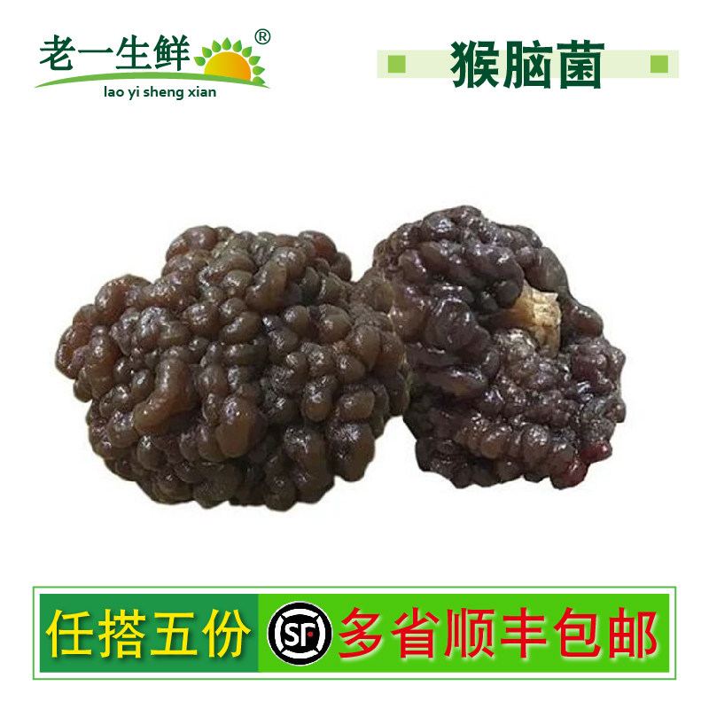 新鲜猴脑菌500g/包 核桃菌玛卡菌参花菌菇黑球菌 爽脆嫩滑火锅