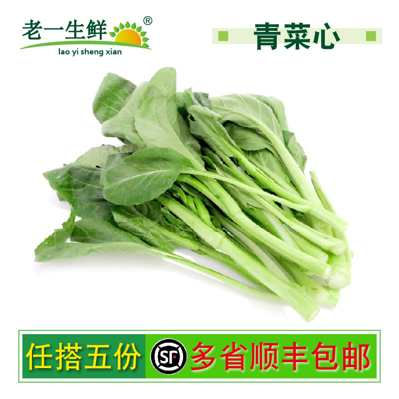 【老一生鲜】新鲜蔬菜 新鲜 广东菜心新鲜 1500g3斤