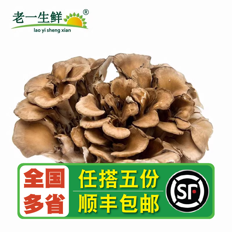 【老一生鲜】新鲜真菌灰树花舞茸 80g/盒日本舞茸菌-封面