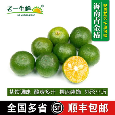 新鲜海南3斤装多省包邮小金桔