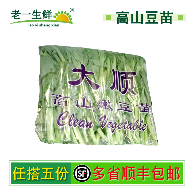 老一生鲜大顺豆苗1袋新鲜蔬菜