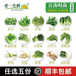 江南时蔬任选5份多国多省包邮新鲜蔬菜上海本地蔬菜时蔬