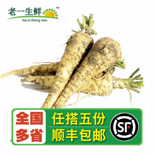 【老一生鲜】新鲜蔬菜欧洲萝卜