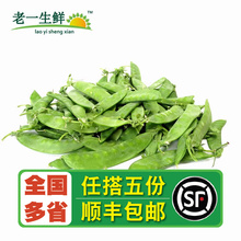 【老一生鲜】新鲜荷兰豆 500g 豌豆小寒豆新鲜蔬菜麦豆荚豆