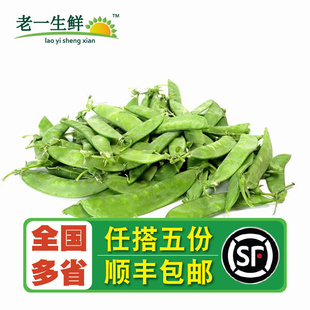【老一生鲜】新鲜荷兰豆 500g 豌豆小寒豆新鲜蔬菜麦豆荚豆