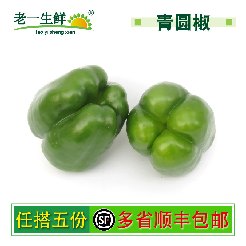 【老一生鲜】新鲜青圆椒 甜椒青园椒 绿彩椒 灯笼椒 500g