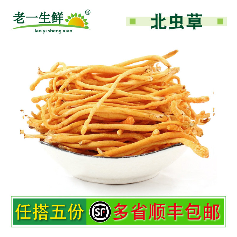 【老一生鲜】新鲜虫草花 蛹虫草 金虫草 新鲜孢子足北虫草