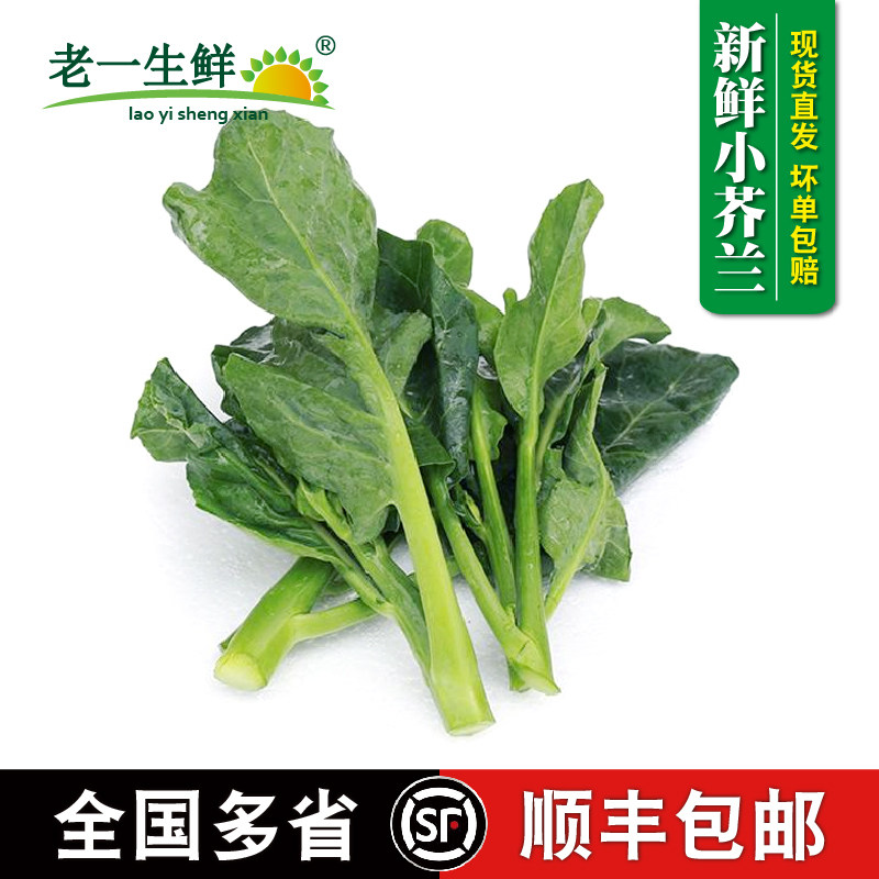 中花小芥兰蓝新鲜广东芥兰菜心蔬菜白灼多省包邮甜芥兰苗仔食用
