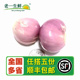 老一生鲜 圆葱头 新鲜去皮小洋葱 干葱头 500g 去皮小圆葱