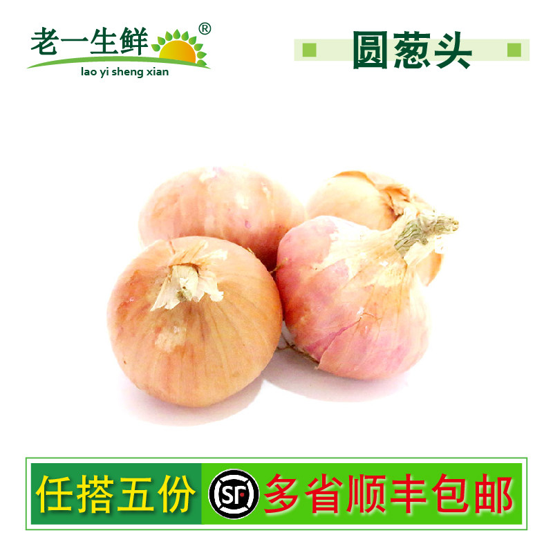【老一生鲜】新鲜小洋葱500g葱头干葱头圆葱头西餐香料珍珠洋葱