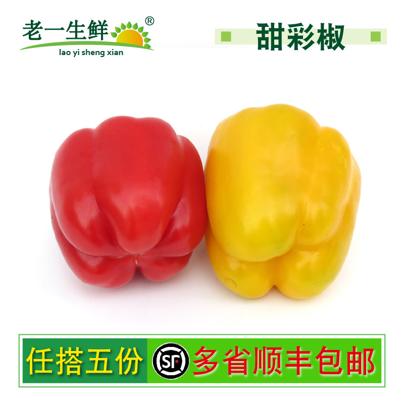 【老一生鲜】新鲜彩椒圆椒红黄彩椒灯笼椒甜圆椒沙拉蔬菜 450g