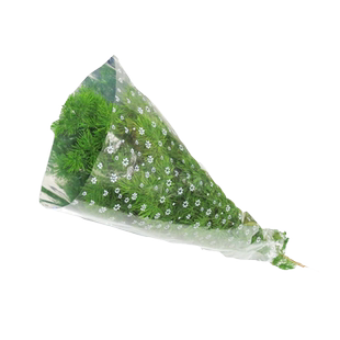 新鲜松针1小束  蓬莱松 装饰摆盘花草松针叶